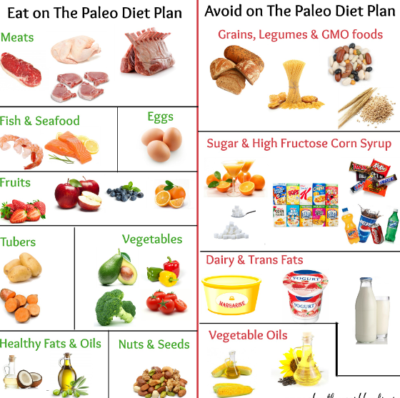 Paleo Carbohydrate Alternatives